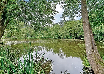 The park setting 