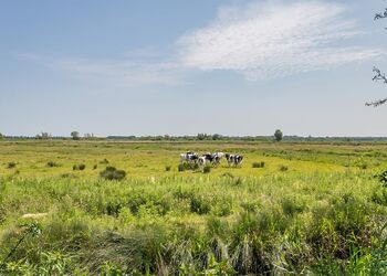 Retreat Spa 2 - Waveney River Centre, Burgh St Peter, Beccles