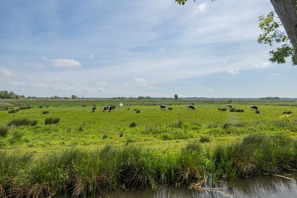 Escape Spa 1 - Waveney River Centre, Burgh St Peter, Beccles