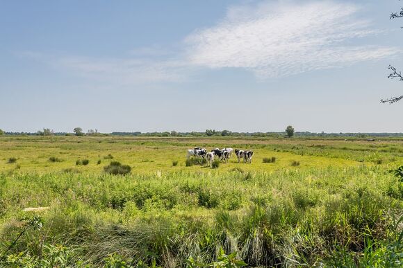 Retreat Spa 2 - Waveney River Centre, Burgh St Peter, Beccles