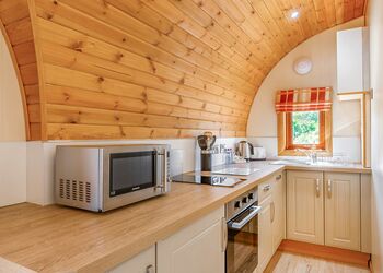 Hedgehog VIP - Wild Acre Village at Sundown Adventureland, Retford