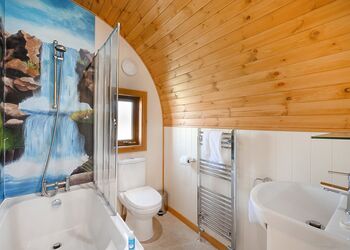 Hedgehog VIP - Wild Acre Village at Sundown Adventureland, Retford