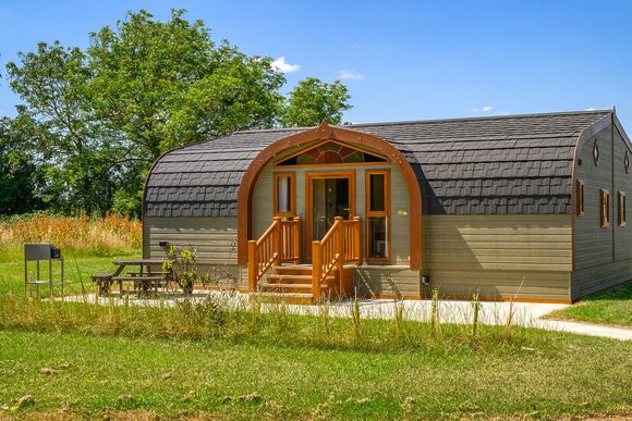 Hedgehog Premier - Wild Acre Village at Sundown Adventureland, Retford