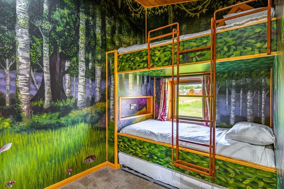 Hedgehog Premier - Wild Acre Village at Sundown Adventureland, Retford