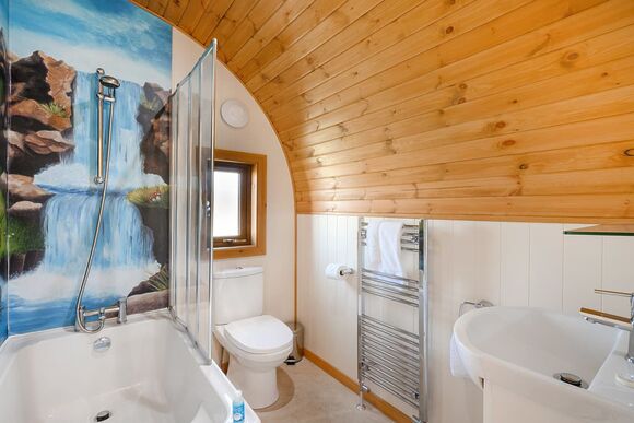 Hedgehog Premier - Wild Acre Village at Sundown Adventureland, Retford