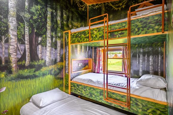 Hedgehog VIP - Wild Acre Village at Sundown Adventureland, Retford