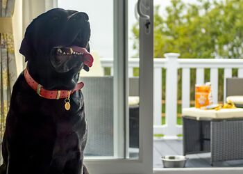 Exclusive Lodge 4 bed HT Pet - Waxham Sands Holiday Park, Great Yarmouth