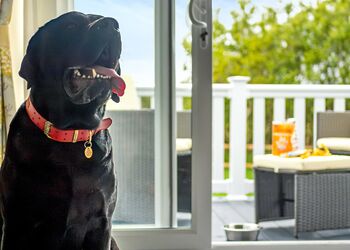 Premium Holiday Home 2 bed HT Pet - Waxham Sands Holiday Park, Great Yarmouth