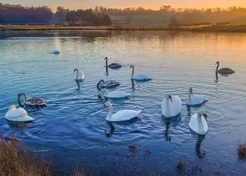 Witton Castle Country Park, Bishop Auckland