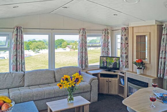 Webbers Oak - Webbers Country Park, Woodbury, Exeter