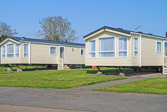Webbers Maple - Webbers Country Park, Woodbury, Exeter