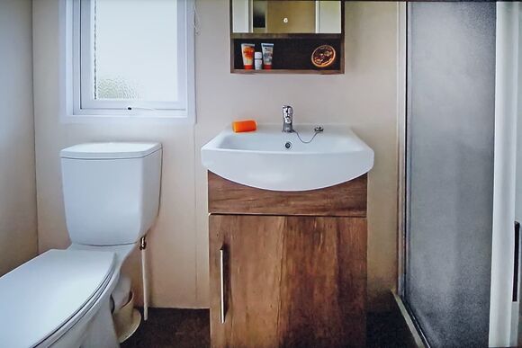 Webbers Maple - Webbers Country Park, Woodbury, Exeter