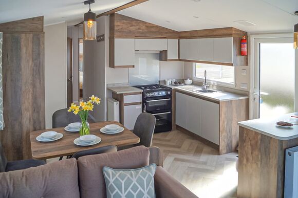 Elm - Webbers Country Park, Woodbury, Exeter