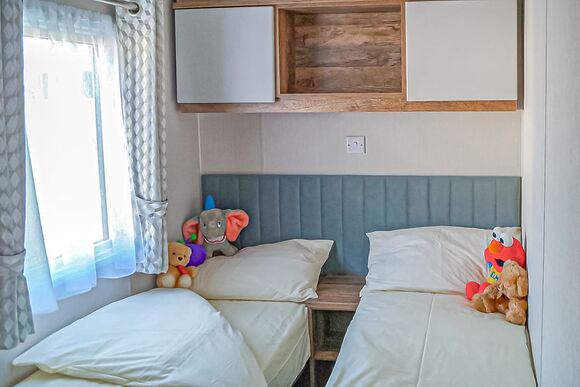 Elm - Webbers Country Park, Woodbury, Exeter