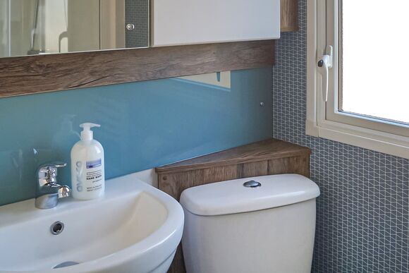 Elm - Webbers Country Park, Woodbury, Exeter