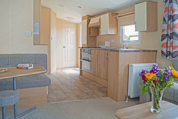 Webbers Willow - Webbers Country Park, Woodbury, Exeter