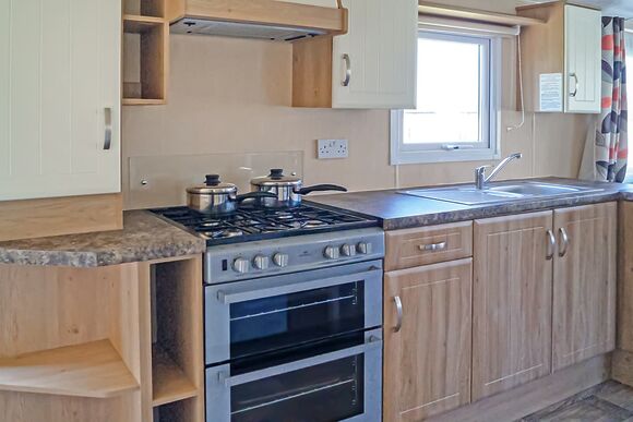 Webbers Willow - Webbers Country Park, Woodbury, Exeter