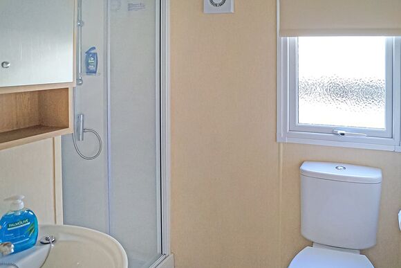 Webbers Willow - Webbers Country Park, Woodbury, Exeter