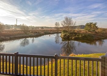 Pondview Plus - Westlands Country Park, Annan