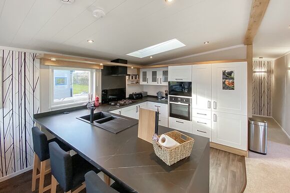 Swift Toronto - Westlands Country Park, Annan