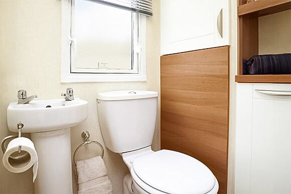 Sea Lion - West Bay, Bridport