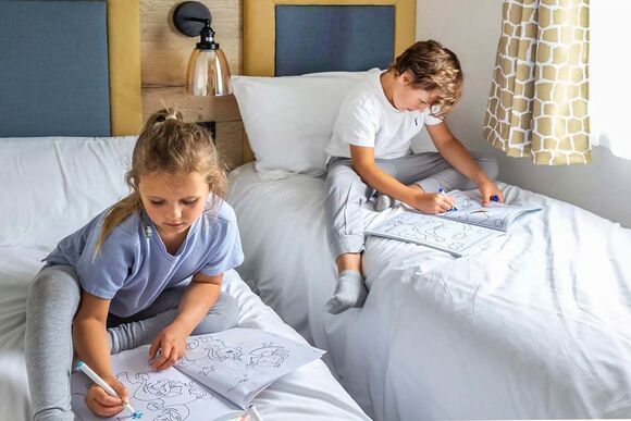 Silver 2 Pet - Seal Bay, Selsey, Chichester