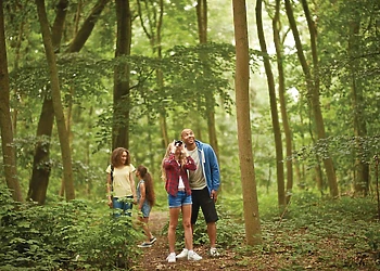 Woodhall Country Park Lodges, Woodhall Spa