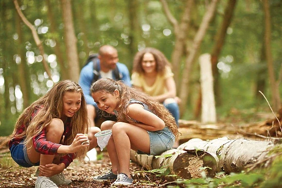 Woodhall Country Park Lodges, Woodhall Spa