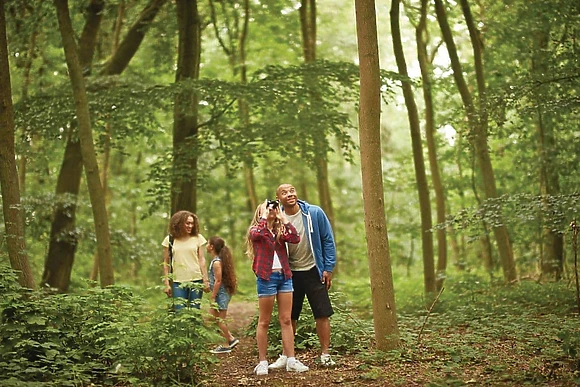 Woodhall Country Park Lodges, Woodhall Spa