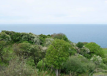 Wide Horizons Holiday Park, Ceredigion