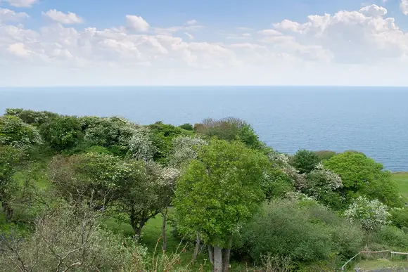 Wide Horizons Holiday Park, Ceredigion