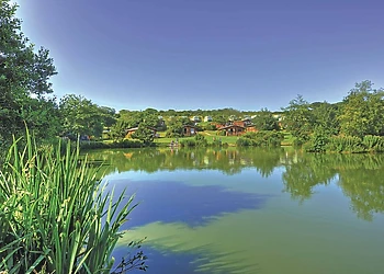 White Acres photo 3