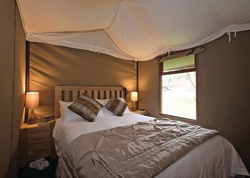 Typical Signature Safari Tent 2 