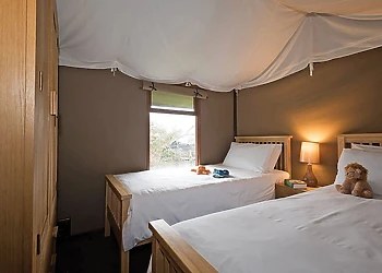 Deluxe Safari Lodge 3 (Pet Friendly)  