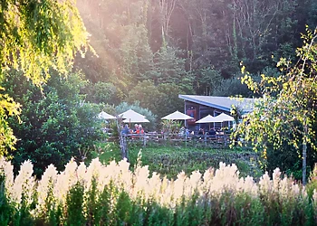 Landal Whalesborough Resort and Spa, Bude