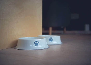 Whispering Waters Teesdale Lodges, Gainford, County Durham