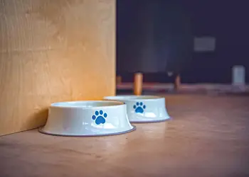 Whispering Waters Teesdale Lodges, Gainford, County Durham