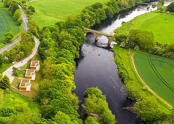 Kingfisher, Otter, Whispering Waters 