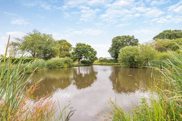 Wigmore Hill View - Wigmore Lakes Lodges, Wattleborough, Nr Shrewsbury