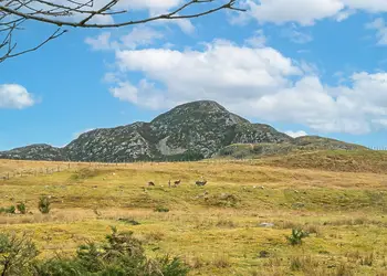 Wildside Highland Lodges at Loch Ness, Whitebridge, Nr Loch Ness