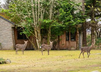 Glenmorangie Highland Lodges - Wildside Highland Lodges at Loch Ness, Whitebridge, Nr Loch Ness