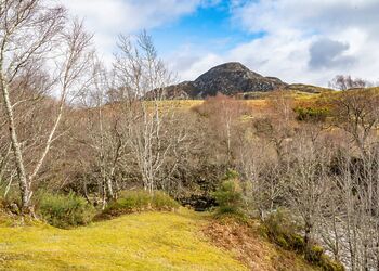 Tomatin Highland Lodges - Wildside Highland Lodges at Loch Ness, Whitebridge, Nr Loch Ness