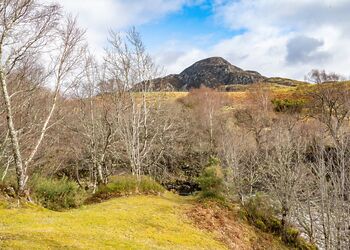 Otter River View Lodge - Wildside Highland Lodges at Loch Ness, Whitebridge, Nr Loch Ness