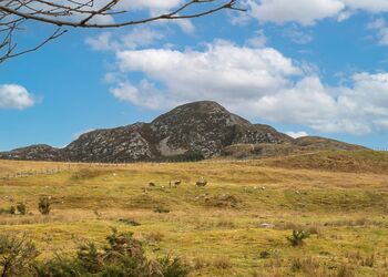 Eagle Glen Lodge - Wildside Highland Lodges at Loch Ness, Whitebridge, Nr Loch Ness