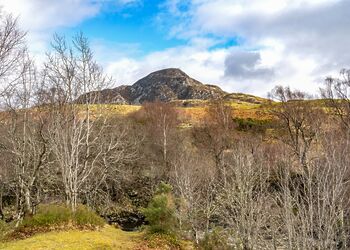 Wildcat Highland Retreat - Wildside Highland Lodges at Loch Ness, Whitebridge, Nr Loch Ness