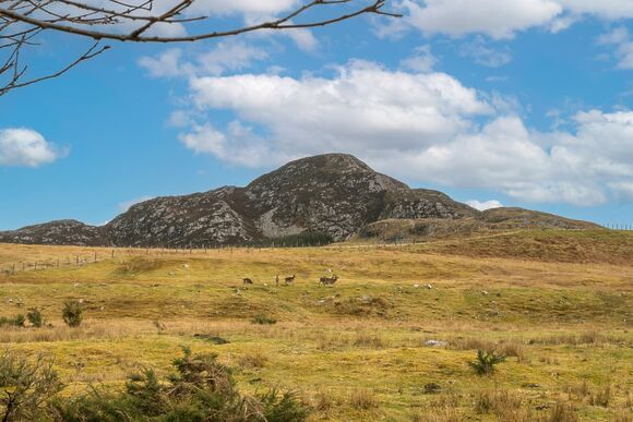 Eagle Glen Lodge - Wildside Highland Lodges at Loch Ness, Whitebridge, Nr Loch Ness