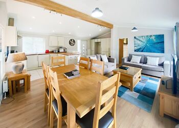 Partridge Lodge - Willow Lakes Lodges, Ashby cum Fenby