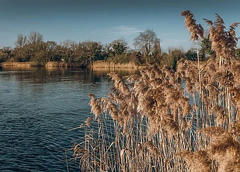 Woodlakes Country Park photo 5