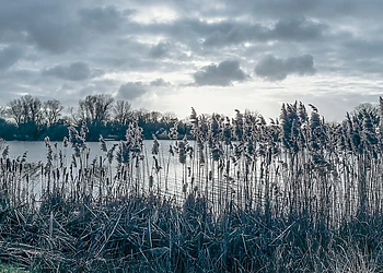 Woodlakes Country Park photo 6