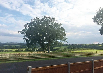 The park setting